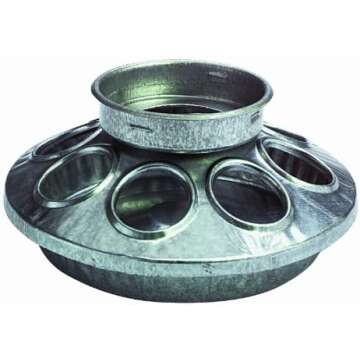 Things Chickens Need