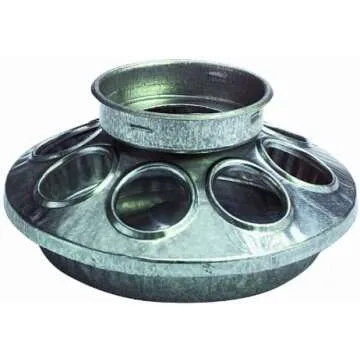 Things Chickens Need