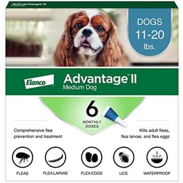 Flea & Tick Preventative