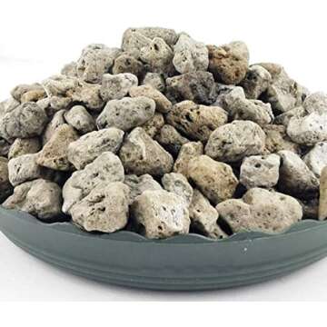 Indoor Potting Soil Mixes