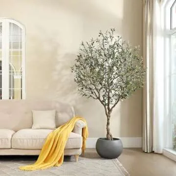 Furniture & Home Decor