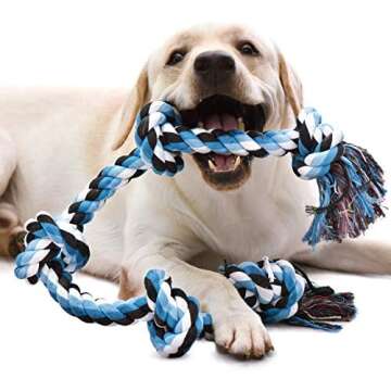 Dog Toys