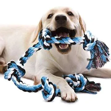 Dog Toys