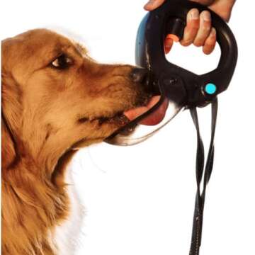 PETS | CLEVER SOLUTIONS