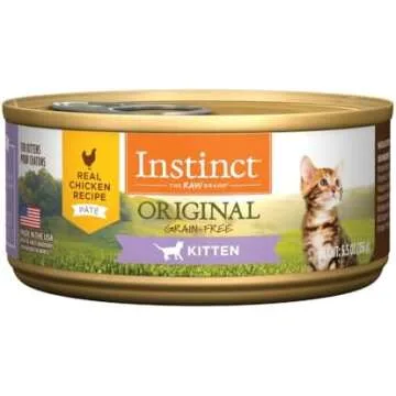 Beds • Blankets • Comfort