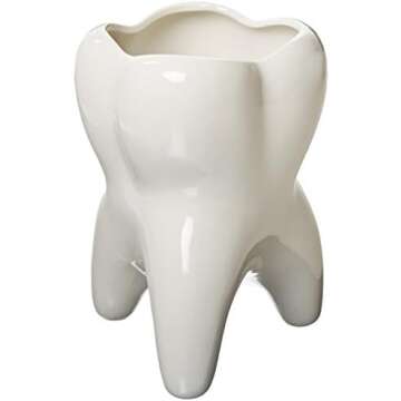 Dental Decor for the OP