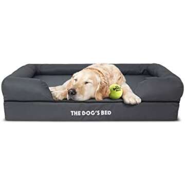 DOGS are People Too!