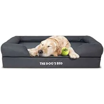 DOGS are People Too!