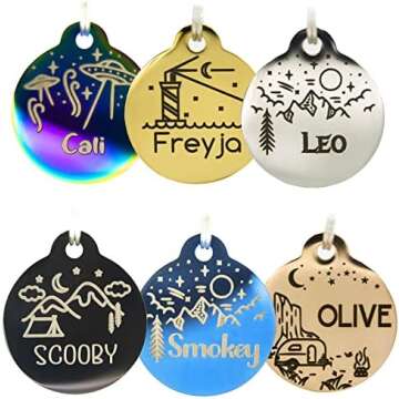 Husky Training Tools & Accessories Must Haves!