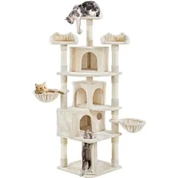 What's in my Foyer and Living Room