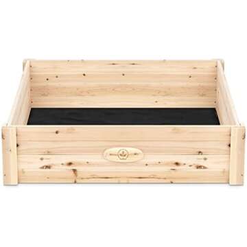 Party Decorations and Holiday Fun