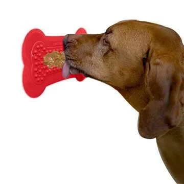 Dog must-haves