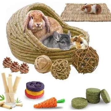 Bunny essential for cage free bunnies