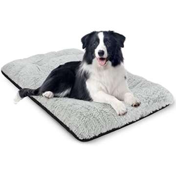 For the Dogs We Love