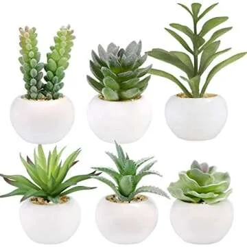 FAUX PLANTS