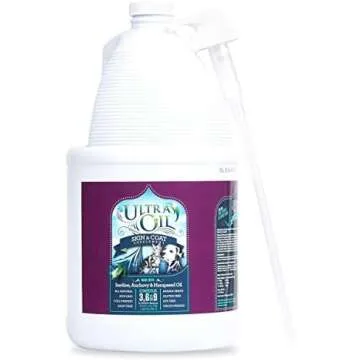 From TikTok & Instagram