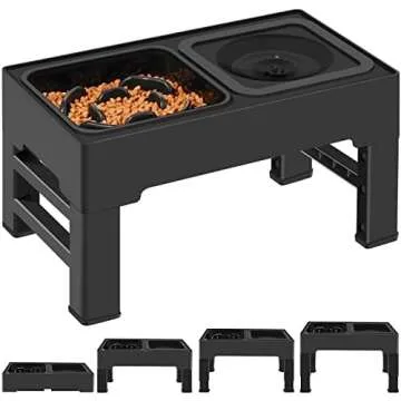 Dog Enrichment & Slow Feeders