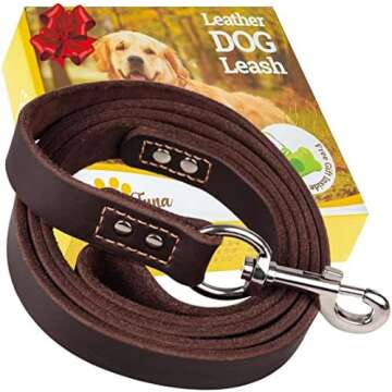 Harness, Collar and Leashes