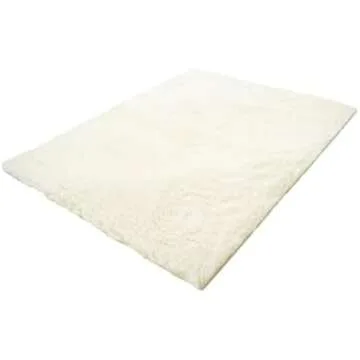 Elderly/Special Needs