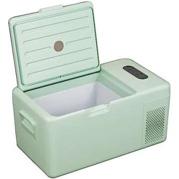 Road Trip Essentials