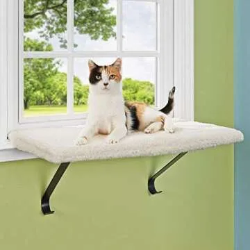 Cat furniture - Scratchers, condos, and more!