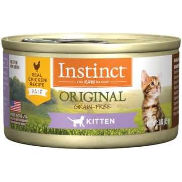 Kitten Food
