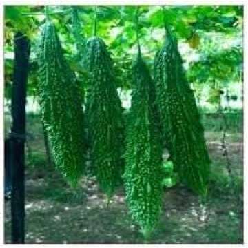 Health products, Castor oil, bitter melon