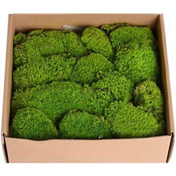 Favorite Amazon Products