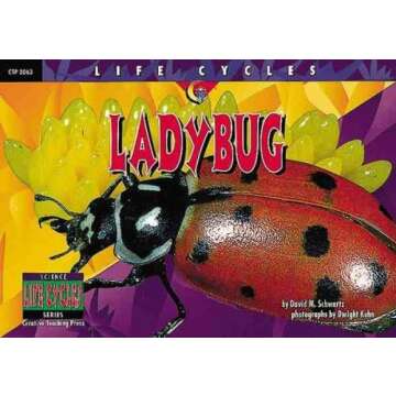 Ladybug Life Cycle