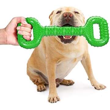 Tough Chew Toys 🐶