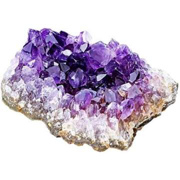 Astrology Starter Pack