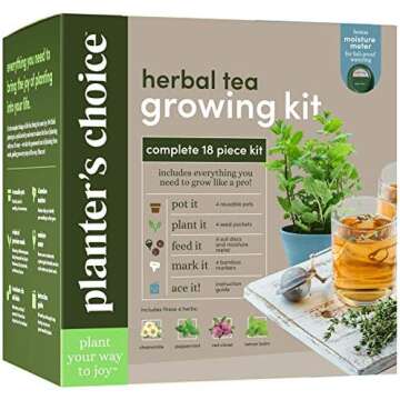 Create you own Exotic Tea!