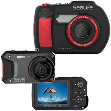 PHOTOGRAPHY PROS AND WANNA-BE PROS