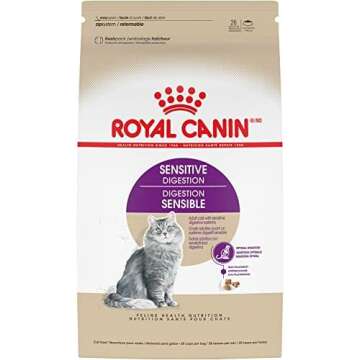 Kitten / Cat Items