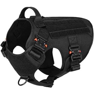 Collars and Harnesses