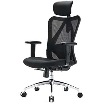Ergonomic Chairs