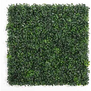 Plant Hedge Wall