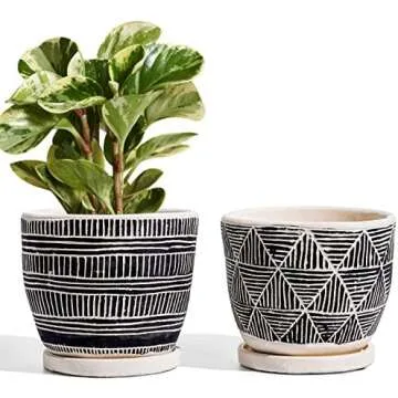 Easy Plants for Kids