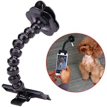 Pet Influencer Necessities