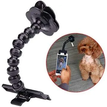 Pet Influencer Necessities