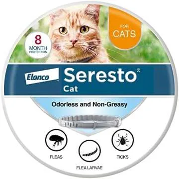 Best for Cats