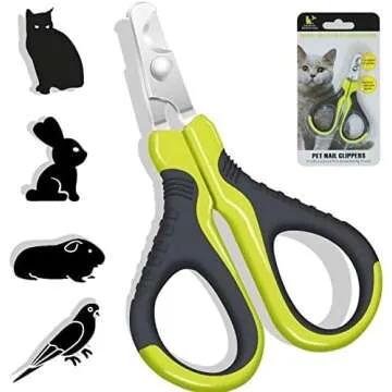 Cat Lovers Must Haves