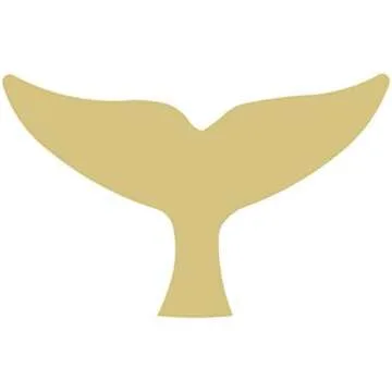 Items to Pour on(acrylic pour)