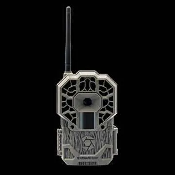 Hunting and Outdoors