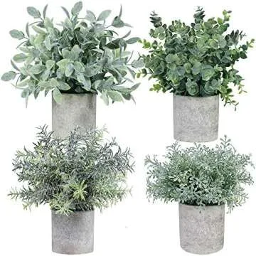 Boho/Farmhouse Decor