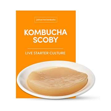 Kombucha Essentials