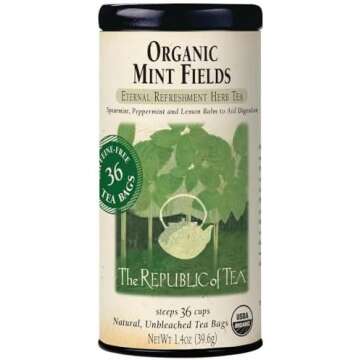 My Night Routine Faves