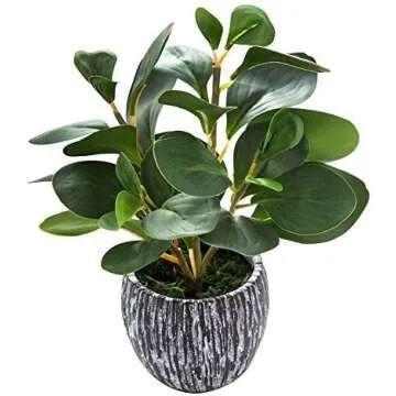 All things outdoor home design!