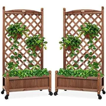 Vertical gardening ideas