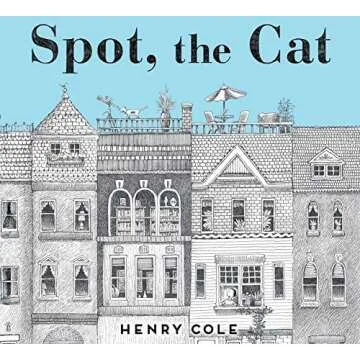 Wordless Picture Books